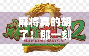 麻将真的胡了！那一刻，我悟了人生最硬的理